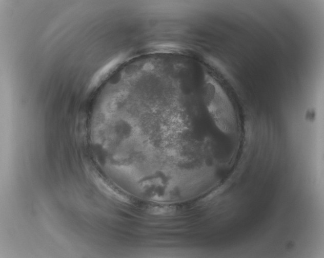 X0000113071403200909182013