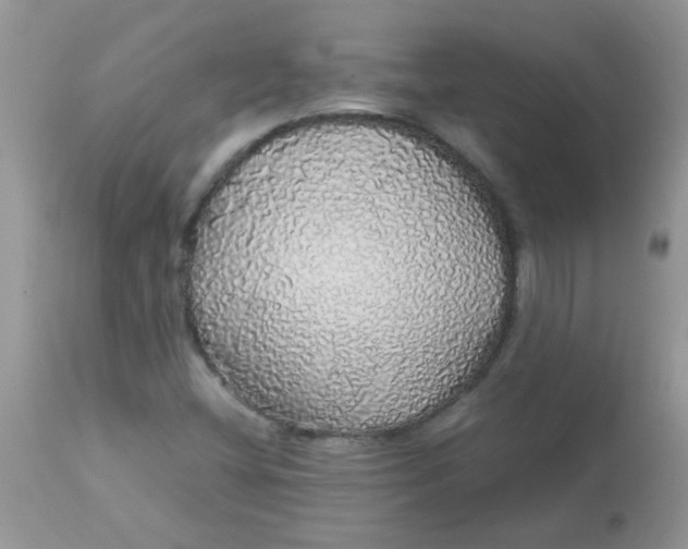 X0000113071404200909182013