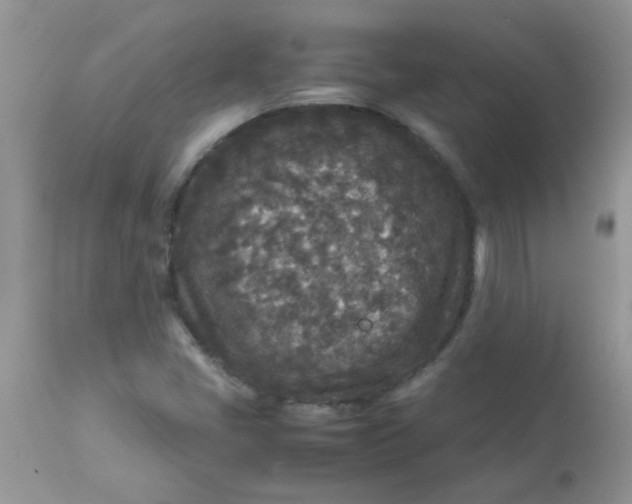 X0000113071405200909182013