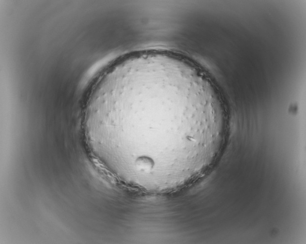 X0000113071406200909182013