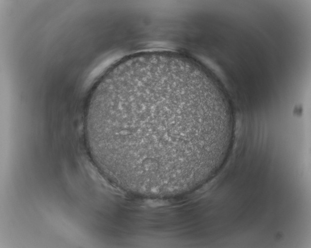 X0000113071407200909182013