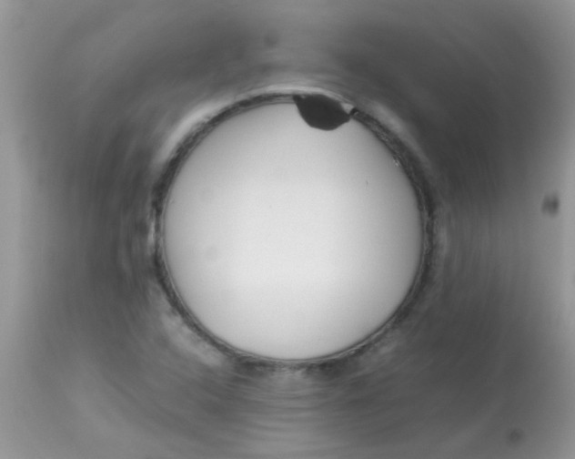 X0000113071408200909182013