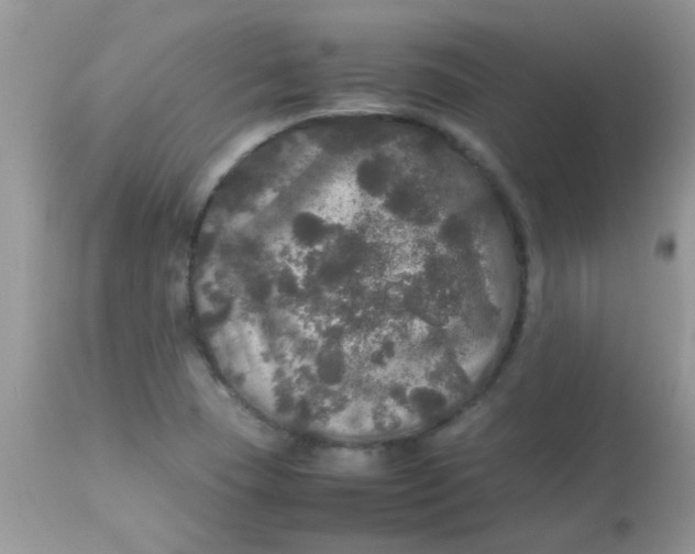 X0000113071409200909182013