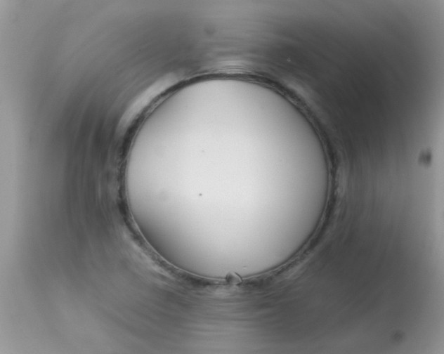 X0000113071410200909182013