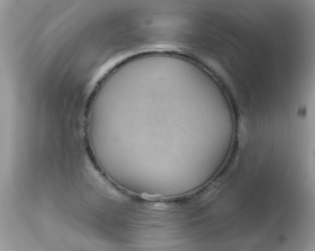 X0000113071412200909182013