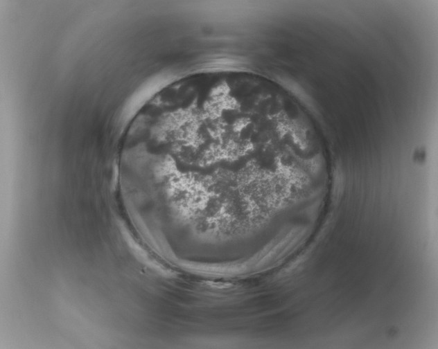 X0000113071413200909182013