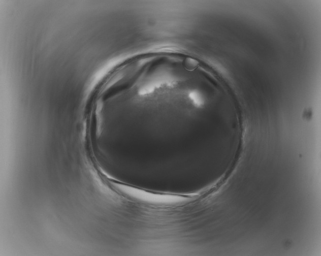 X0000113071414200909182013