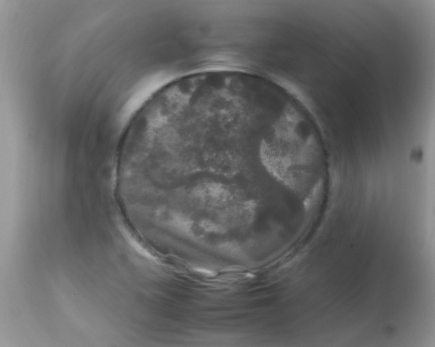 X0000113071415200909182013