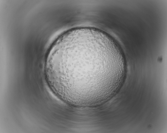 X0000113071416200909182013