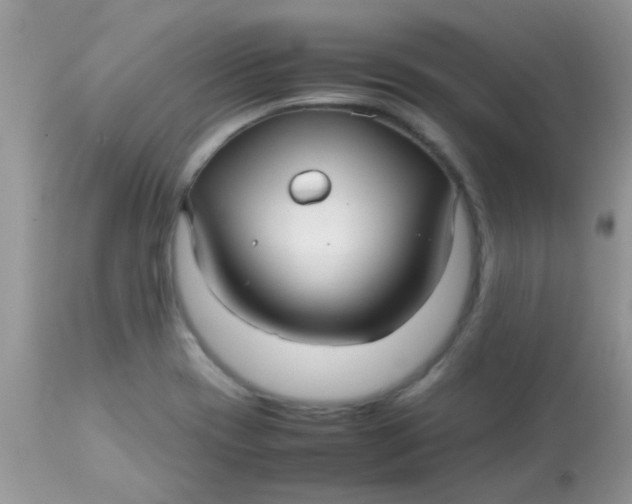 X0000113071417200909182013