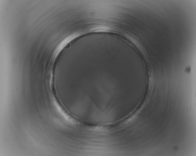 X0000113071418200909182014