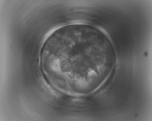 X0000113071419200909182014