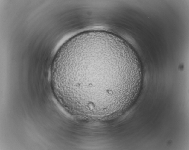 X0000113071420200909182014