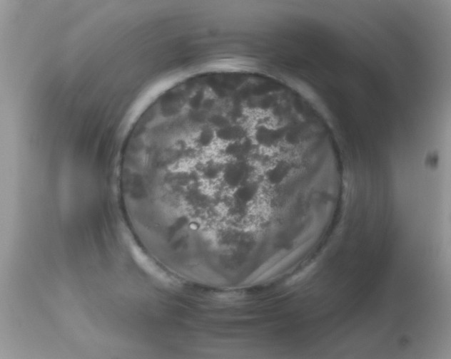 X0000113071421200909182014