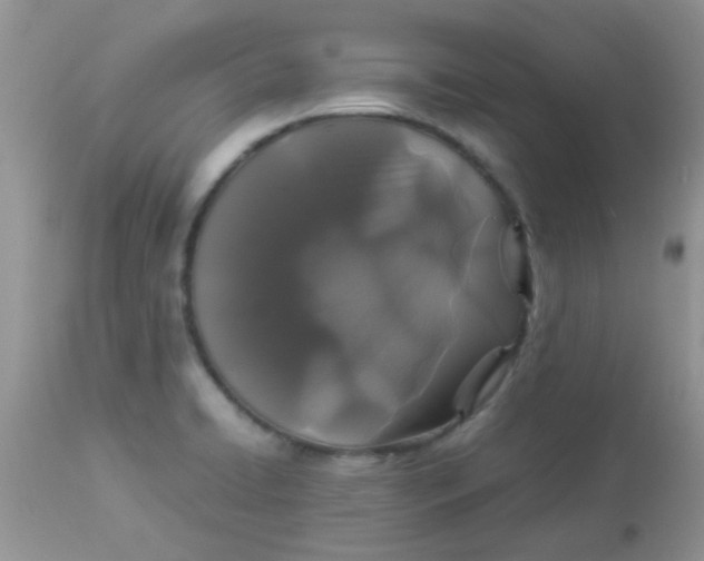 X0000113071422200909182014