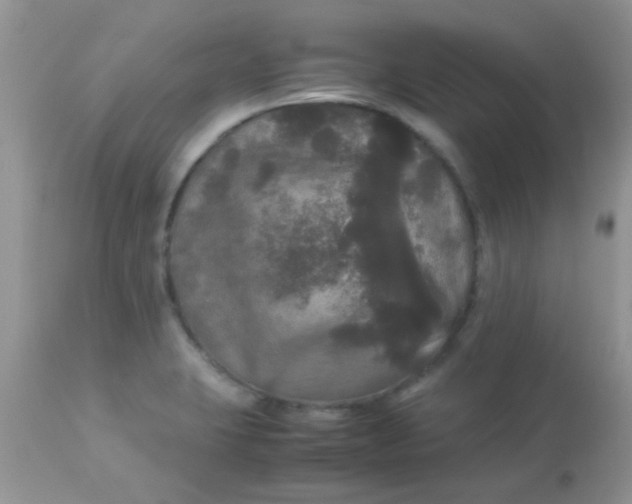 X0000113071423200909182014