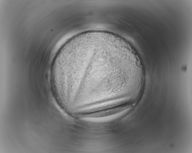 X0000113071424200909182014