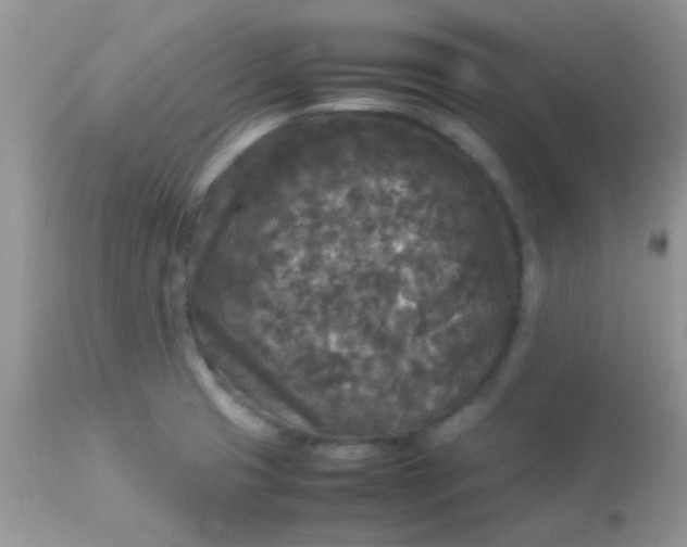 X0000113071425200909182014