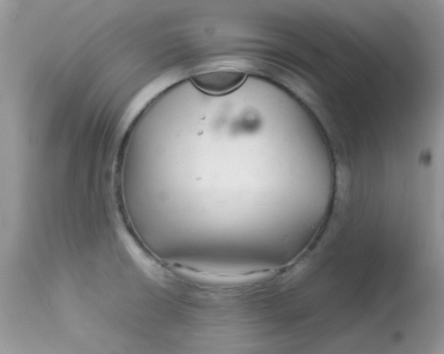 X0000113071426200909182014