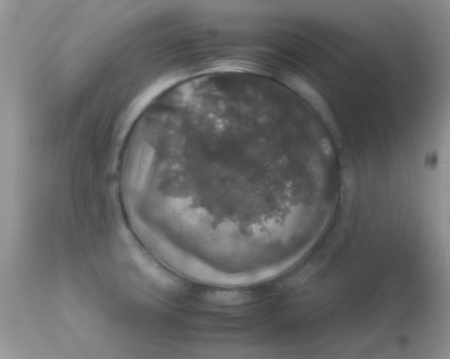 X0000113071427200909182014