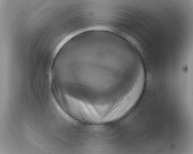 X0000113071428200909182014