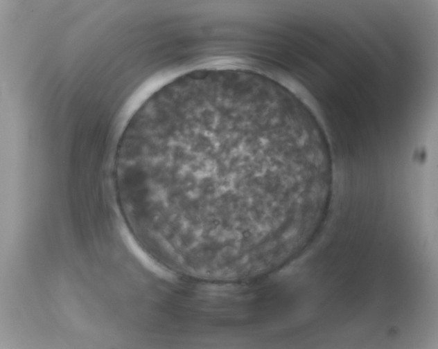 X0000113071429200909182014