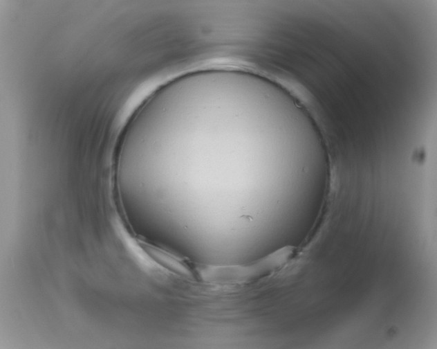 X0000113071430200909182014