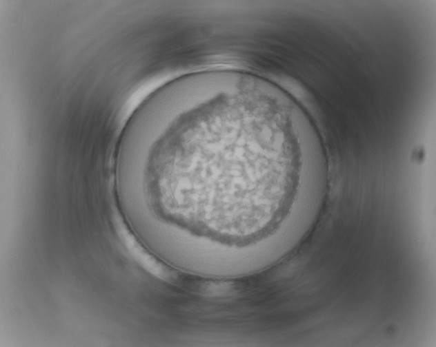 X0000113071431200909182014