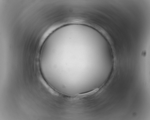 X0000113071432200909182014