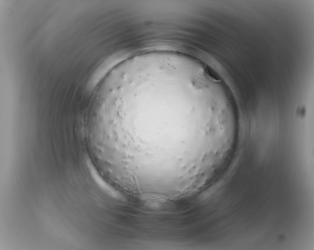 X0000113071433200909182014