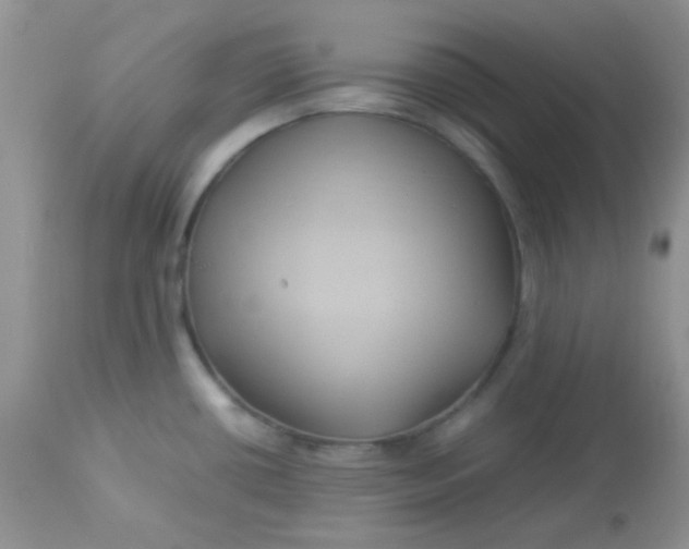 X0000113071434200909182014