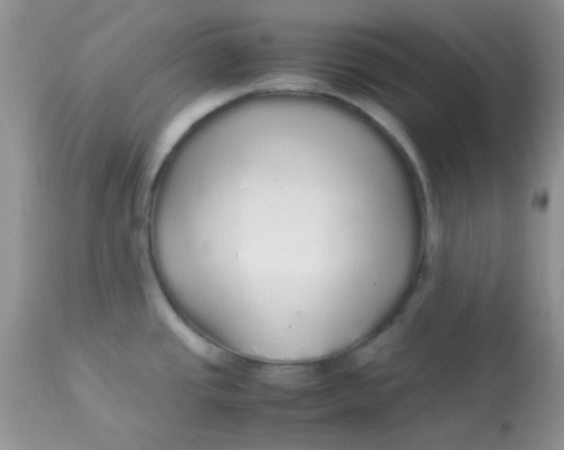 X0000113071437200909182014