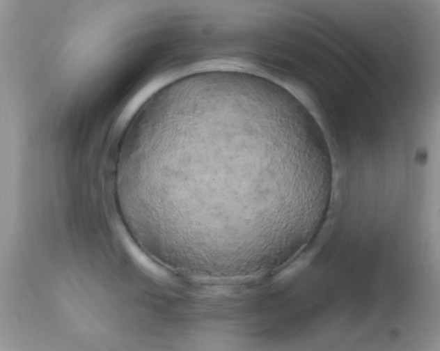 X0000113071438200909182014