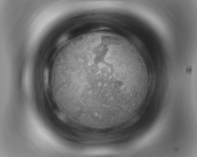 X0000113071439200909182014