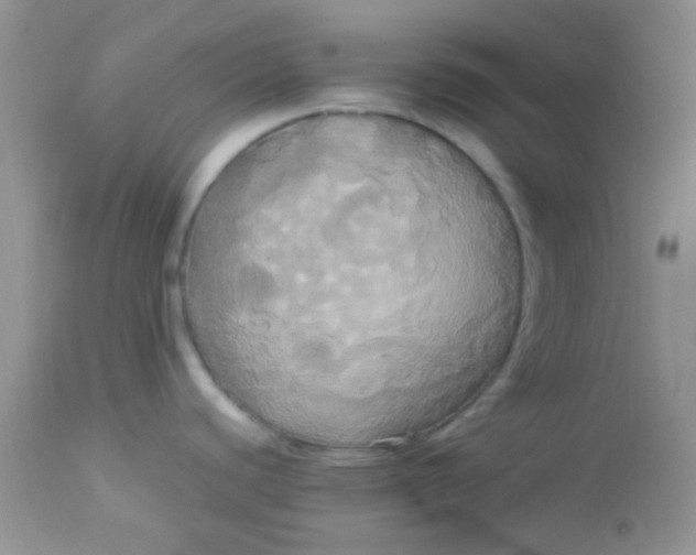 X0000113071440200909182014