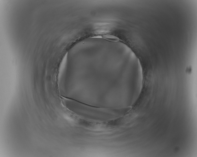 X0000113071441200909182013