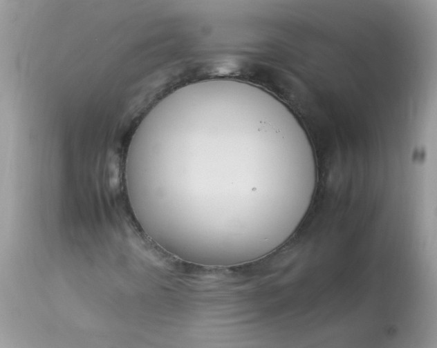 X0000113071442200909182013