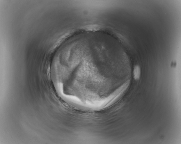 X0000113071444200909182013