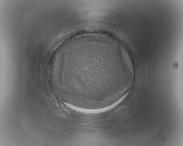 X0000113071445200909182013