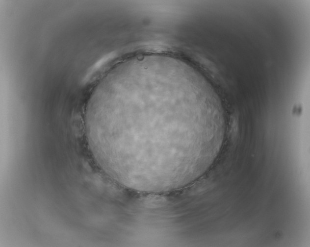 X0000113071446200909182013