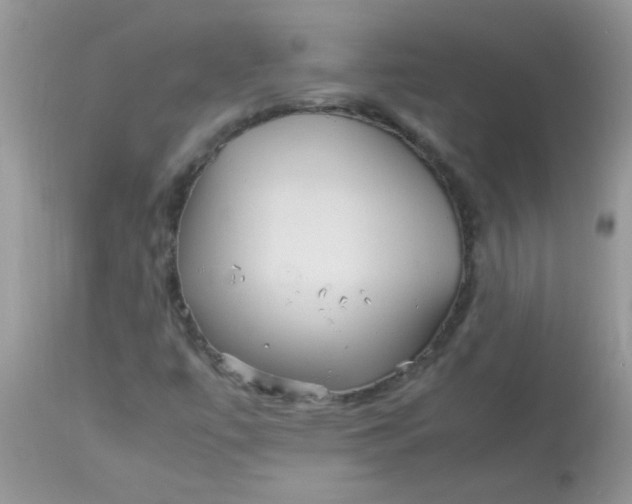 X0000113071447200909182013