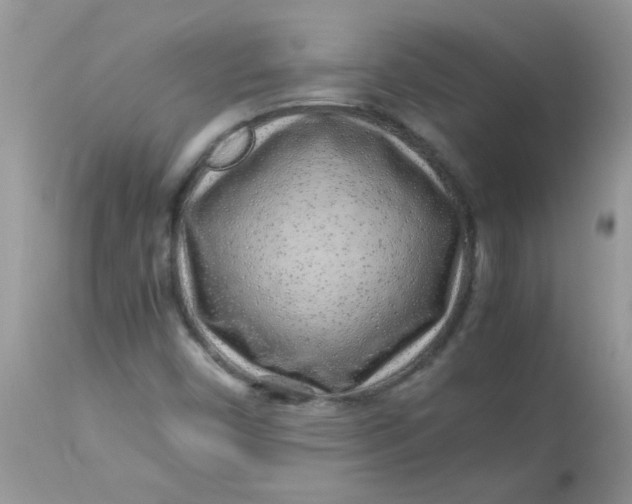 X0000113071450200909182013