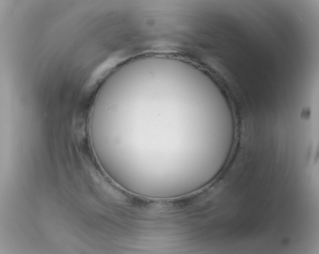 X0000113071451200909182013