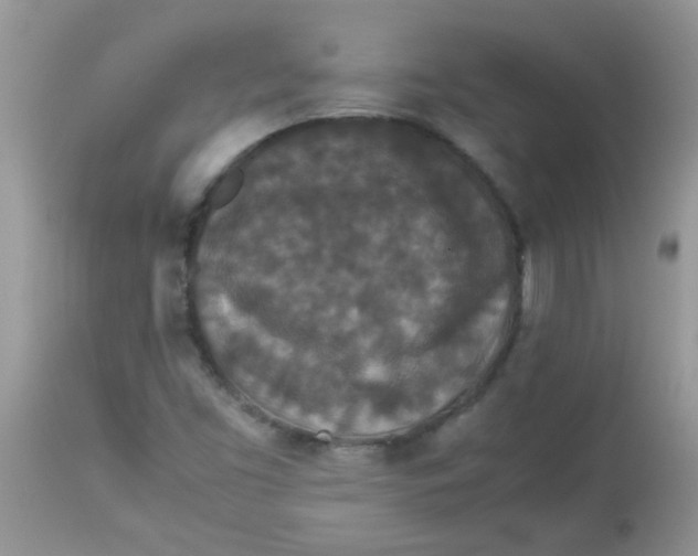 X0000113071453200909182013