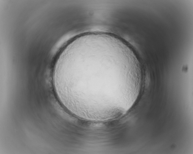 X0000113071454200909182013