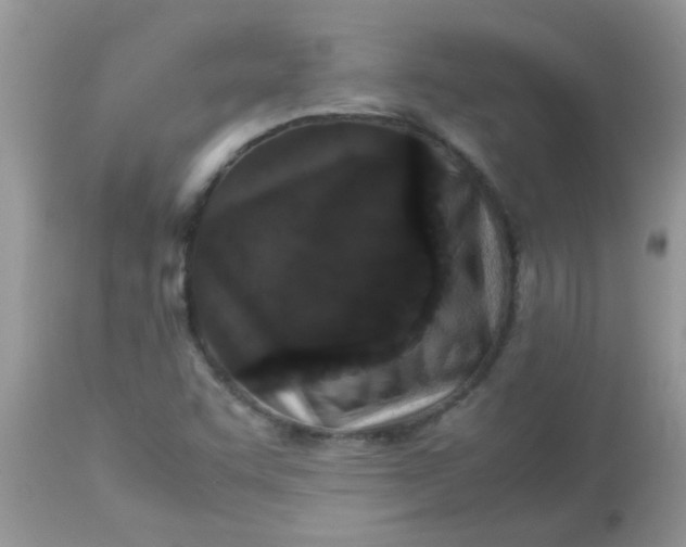 X0000113071455200909182013