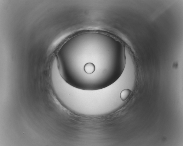 X0000113071456200909182013