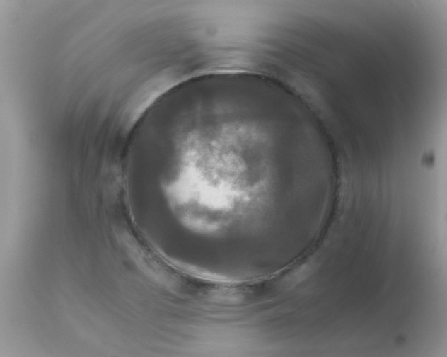 X0000113071457200909182013