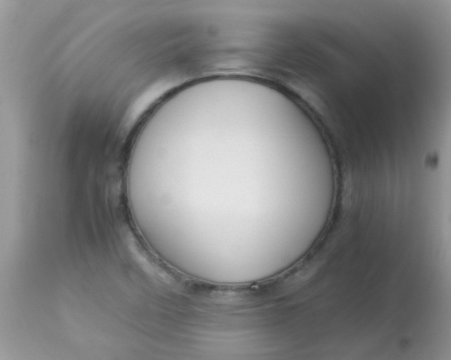 X0000113071458200909182013