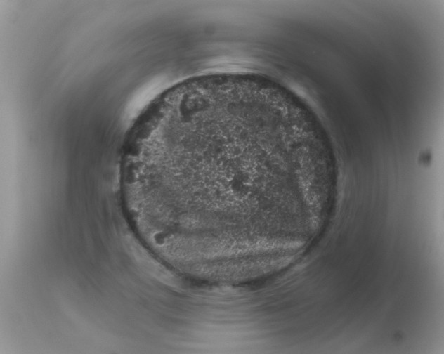 X0000113071459200909182013